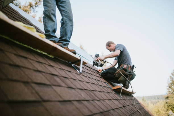 Best Roof Gutter Cleaning  in Kingston Estates, NJ